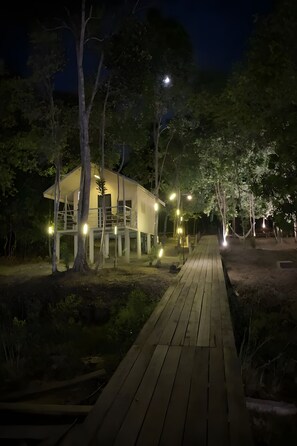 Treehouse Lodge | View from room