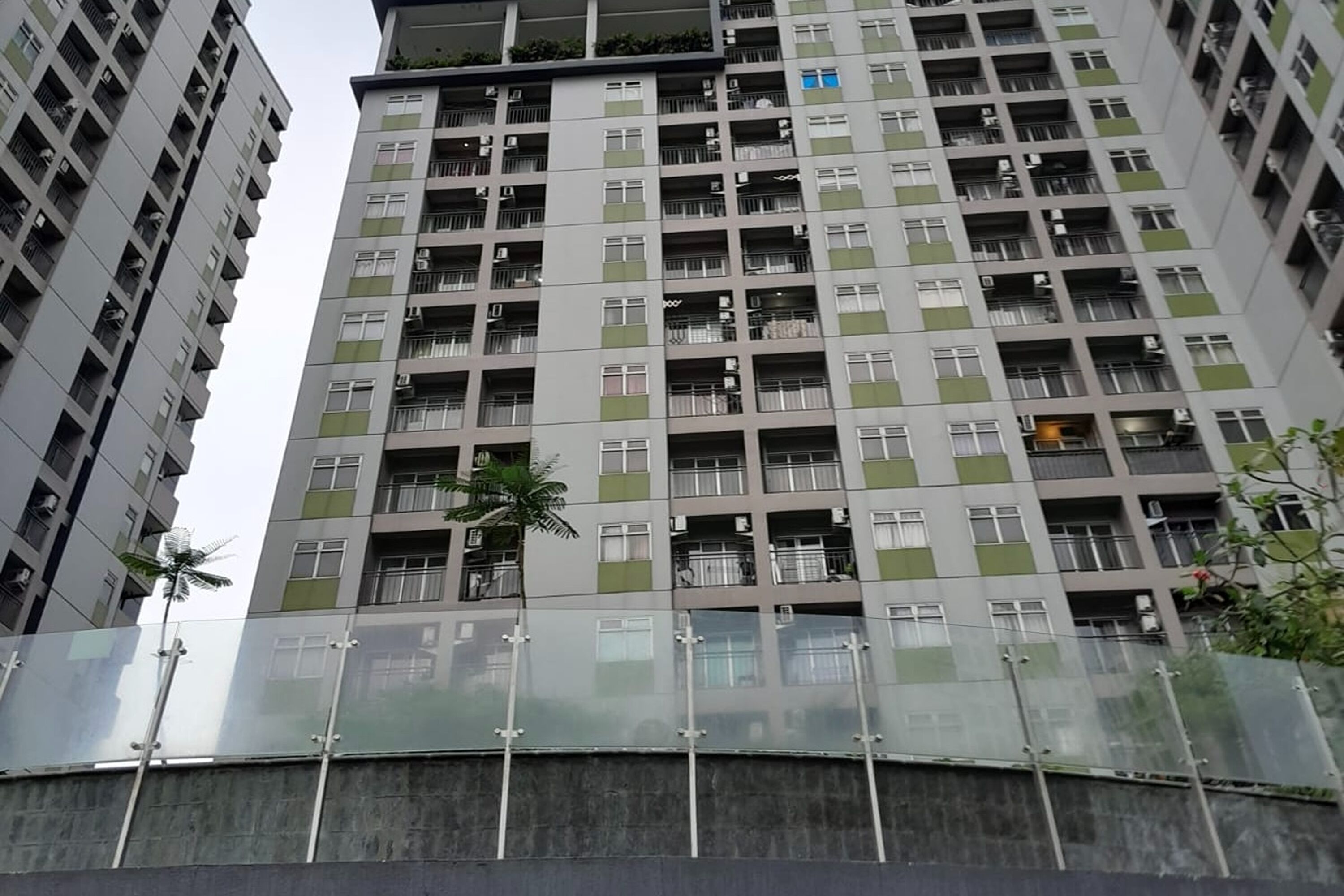 A high-rise residential building with multiple balconies, a glass fence, and a palm tree in front.