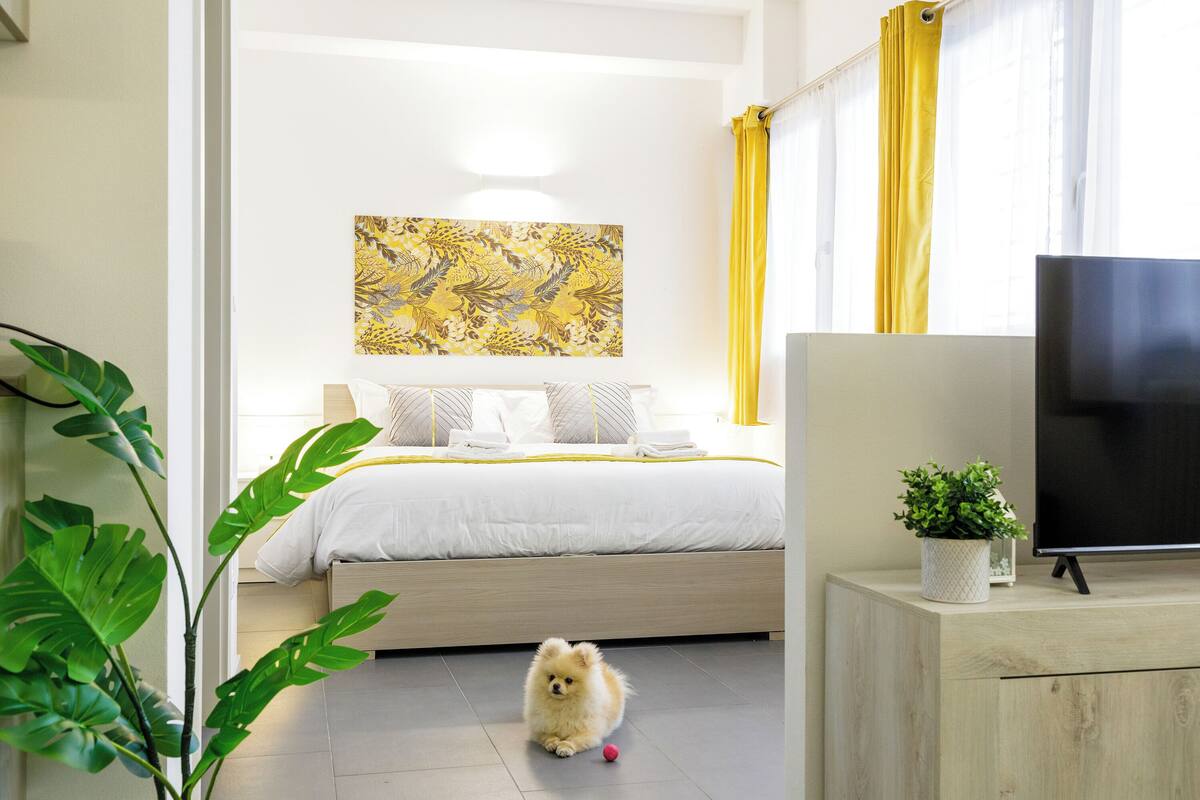 A bedroom with a bed, a television, a plant, and a small dog.