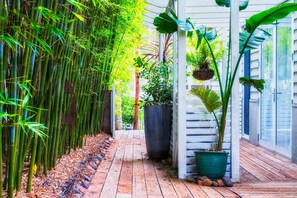 A narrow wooden pathway flanked by dense bamboo and various potted plants.