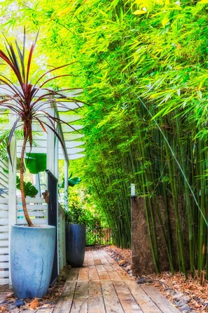 A pathway flanked by bamboo plants and potted plants, leading to a white structure with a door.
