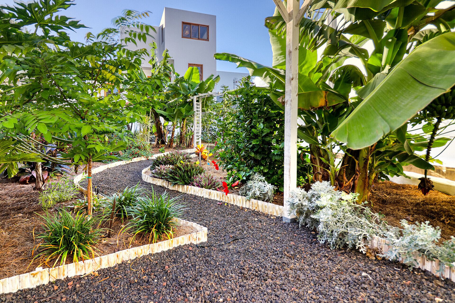 A garden with a gravel path, various plants, and a building in the background.