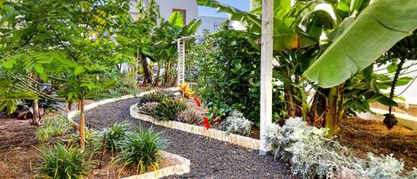 A garden with a gravel path, various plants, and a building in the background.