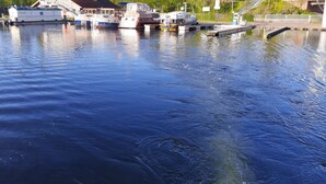 A marina with several boats docked, a building with a sloped roof, and a flagpole with a flag. - Direkt auf dem Wasser - Un`s Lütt Goldfisch im "haifischbecken" (Röbel/Müritz)