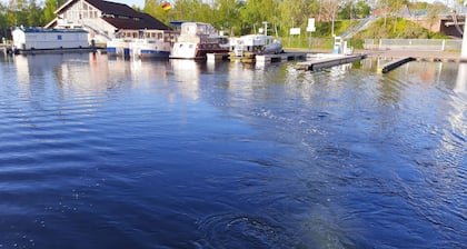 Direkt auf dem Wasser - Un`s LĂŒtt Goldfisch im "haifischbecken"