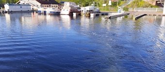 Direkt auf dem Wasser - Un`s Lütt Goldfisch im "haifischbecken"