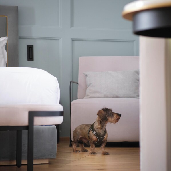 Deluxe Room, City View | Premium bedding, down comforters, free minibar items, in-room safe - EUNICE HOTEL GASTRONOMICO (Salamanca)