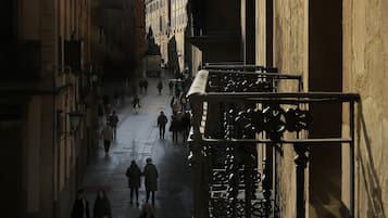 Vista desde la propiedad