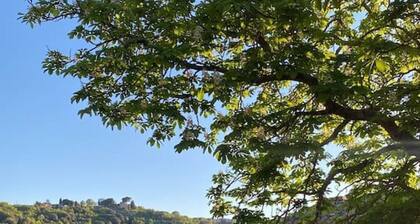 Villa Montebella: Montepulciano