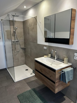 Dusche, Haartrockner, Handtücher, Seife