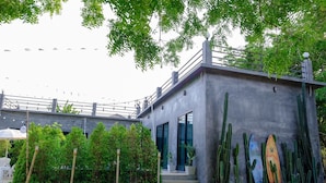 A modern building with a concrete exterior, large windows, and a staircase leading to an upper level. There are cacti and plants in front of the building.