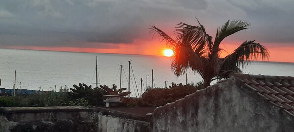 Ein Sonnenuntergang über dem Meer mit einer Palme im Vordergrund.