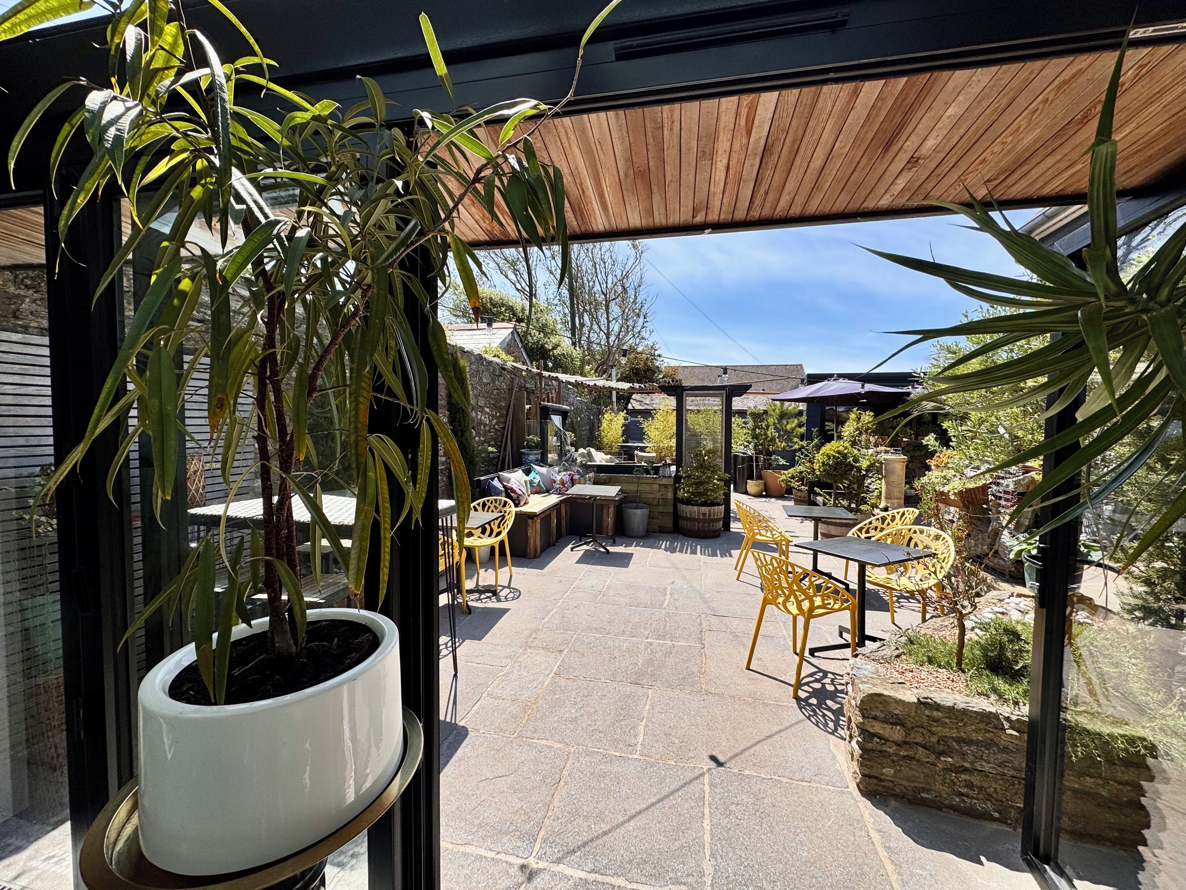 إطلالة على الفناء