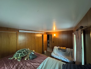 3 chambres, fer et planche à repasser, Wi-Fi, draps fournis