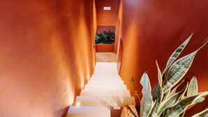 Een smalle, oranje muurhal met een trap die leidt naar een kamer met een plant.