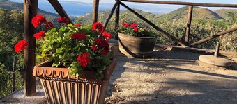 Peaceful Cottage vith a Sea View - A Tuscan retreat in Nature