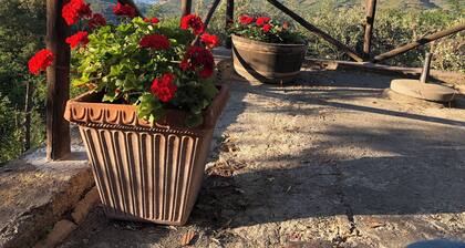 Peaceful Cottage vith a Sea View - A Tuscan retreat in Nature