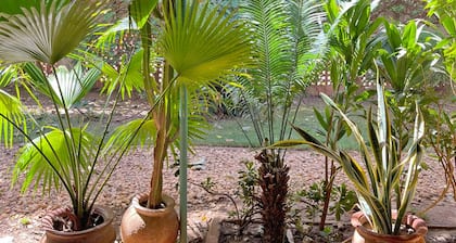 Umoja Guest House