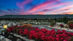 A desert landscape with a sunset, rocky terrain, and red flowers.