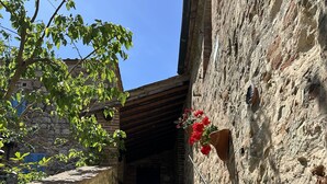 A stone staircase leading to a dark doorway, with a metal handrail on the right and a tree with green leaves on the left. - Borgo Tignano (Volterra)