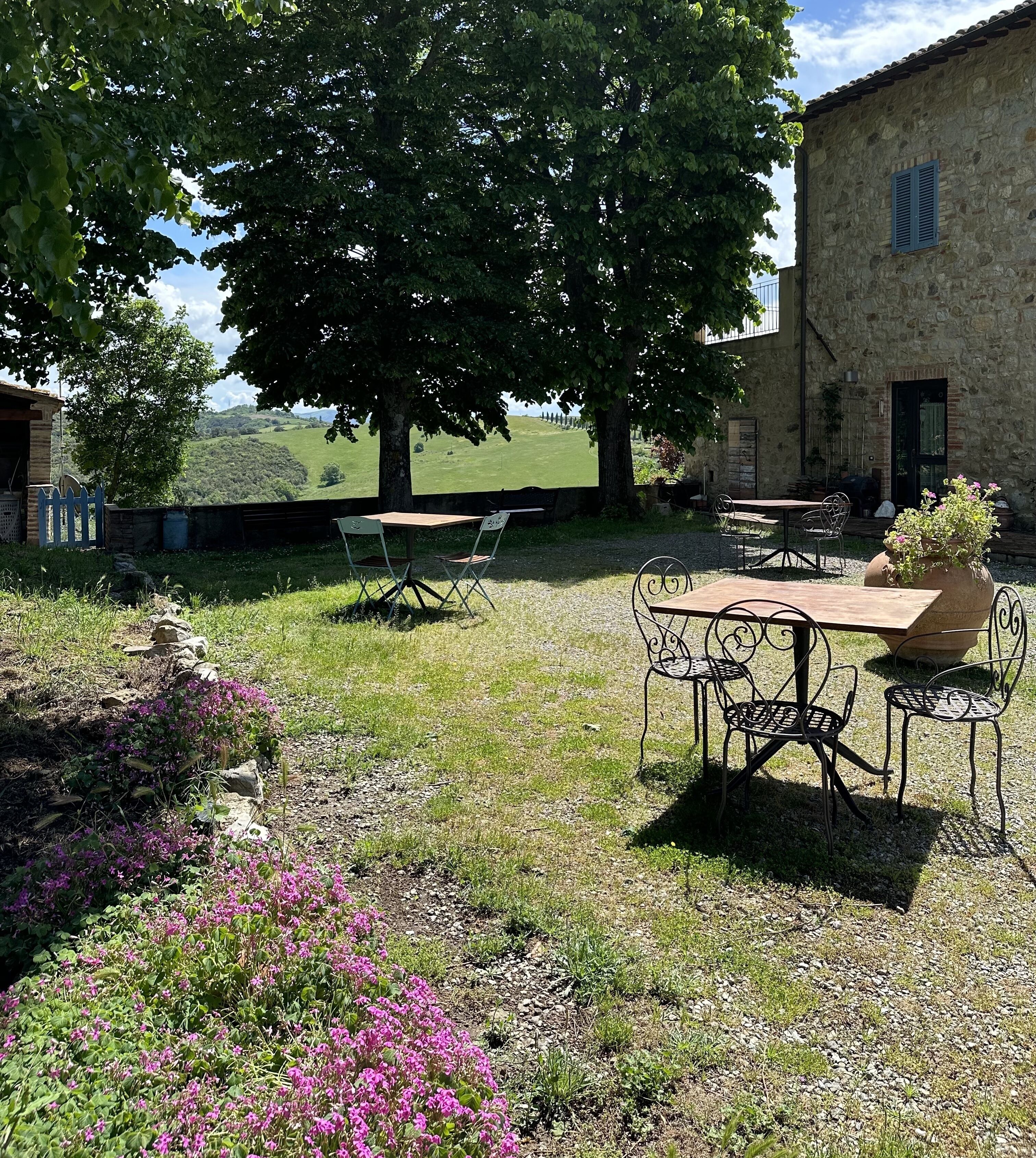 Ein Außenbereich mit Tisch und Stühlen, umgeben von Grünpflanzen und einem Steinhaus.
