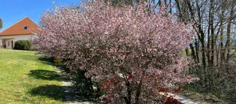 Gîte Kojonomai Pyrénées