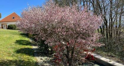 Gîte Kojonomai Pyrénées
