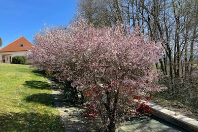 Gîte Kojonomai Pyrénées