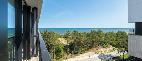 Departamento Deluxe | Terraza o patio