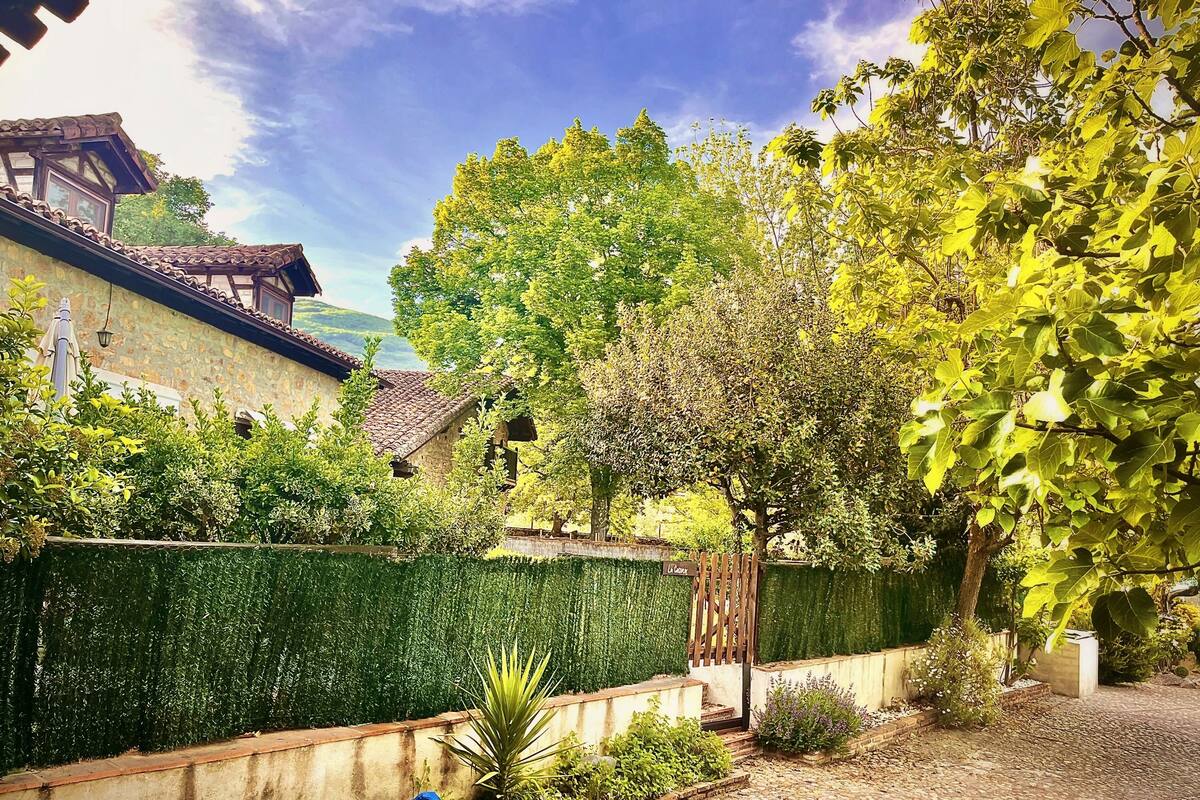 A garden with a stone wall, a wooden fence, and a variety of trees and shrubs.