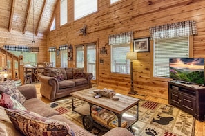 TV, fireplace, video games, DVD player