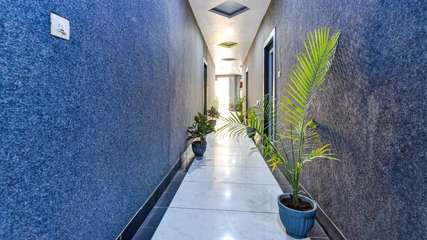 Un couloir aux murs bleus, doté d’un sol carrelé et agrémenté de plantes en pot.
