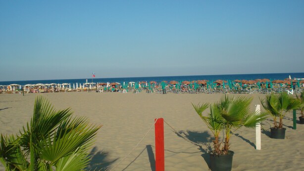Una spiaggia con file di ombrelloni e lettini, un cielo sereno e l'oceano sullo sfondo.