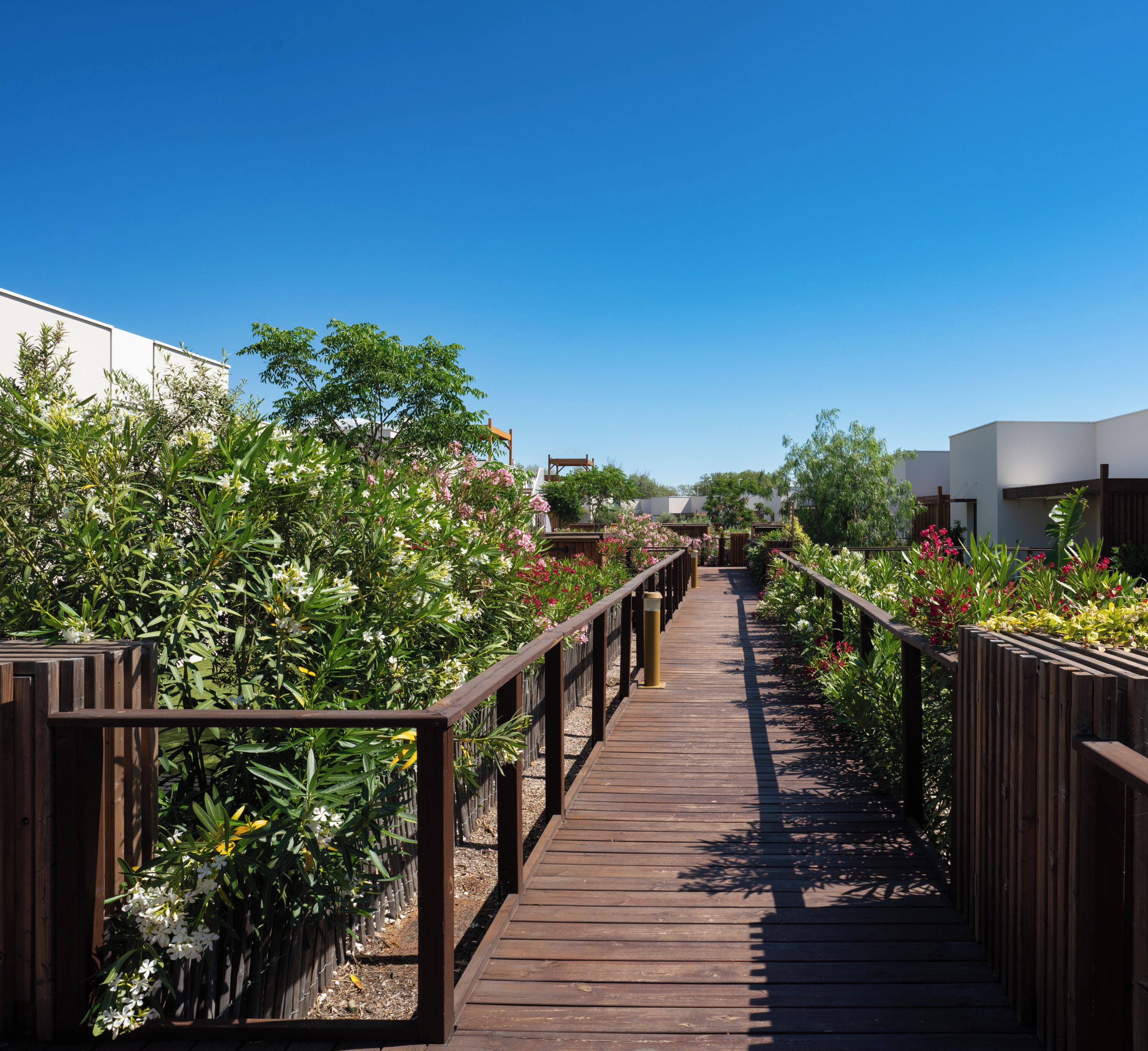 Un sentier en bois traverse un jardin où l’on trouve diverses plantes et fleurs, et il est bordé de bâtiments modernes aux murs blancs et aux balcons.