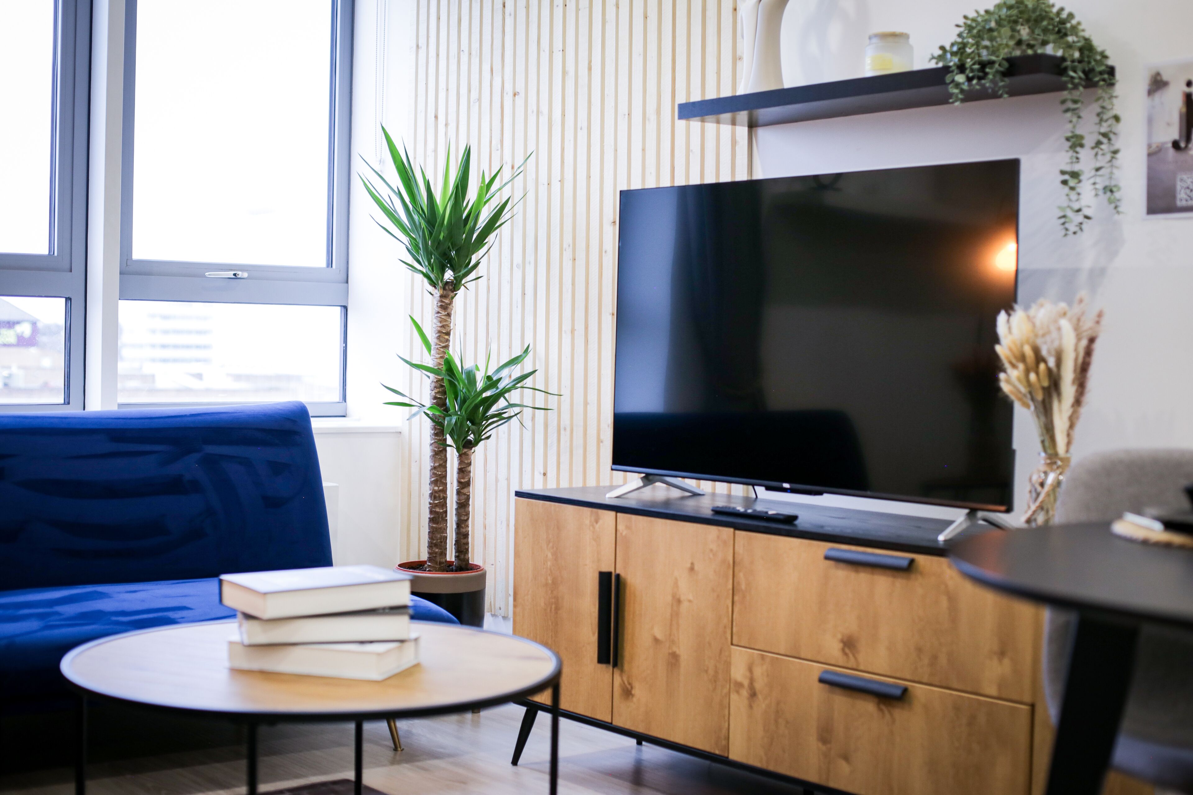 A modern living room with a large flat-screen TV, a blue sofa, a round coffee table, and a tall potted plant.