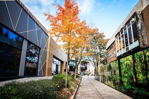A modern building with a glass facade, a tree-lined pathway, and a Starbucks sign. - Cozy Luxury City Apartment in Central Bracknell (Bracknell)