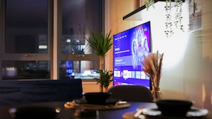 Una habitación moderna con un televisor grande sobre una pared de madera, una planta pequeña y un jarrón decorativo con plantas secas.