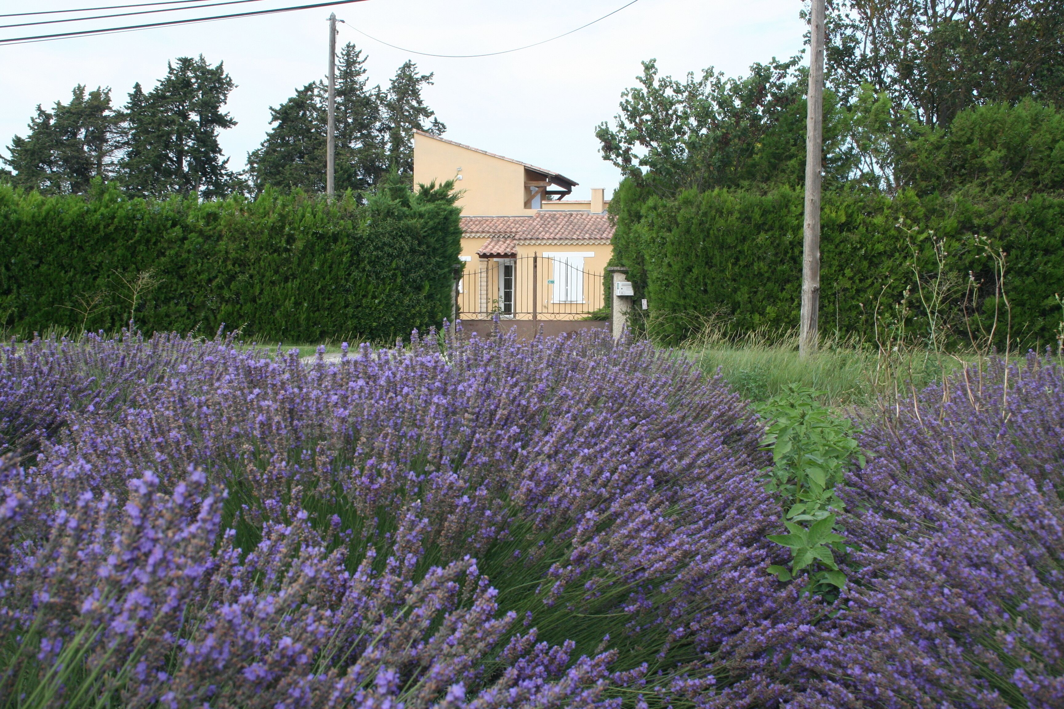 Enceinte de l’hébergement