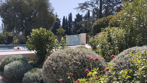 Ein angelegter Garten mit Pool, verschiedenen Sträuchern und blühenden Pflanzen.