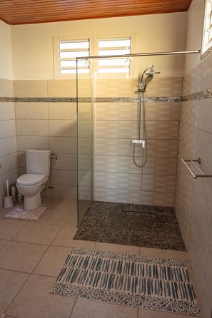 Ducha, secador de pelo y toallas