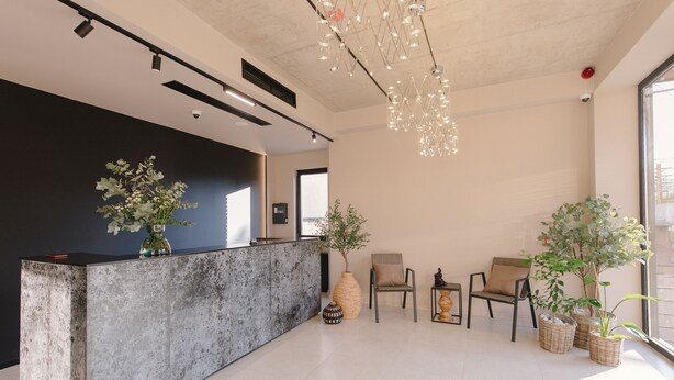 A modern reception area with a concrete reception desk, two chairs, potted plants, and a hanging light fixture. - Doors Hotel (Tbilisi)