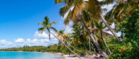 Chaises longues, serviettes de plage