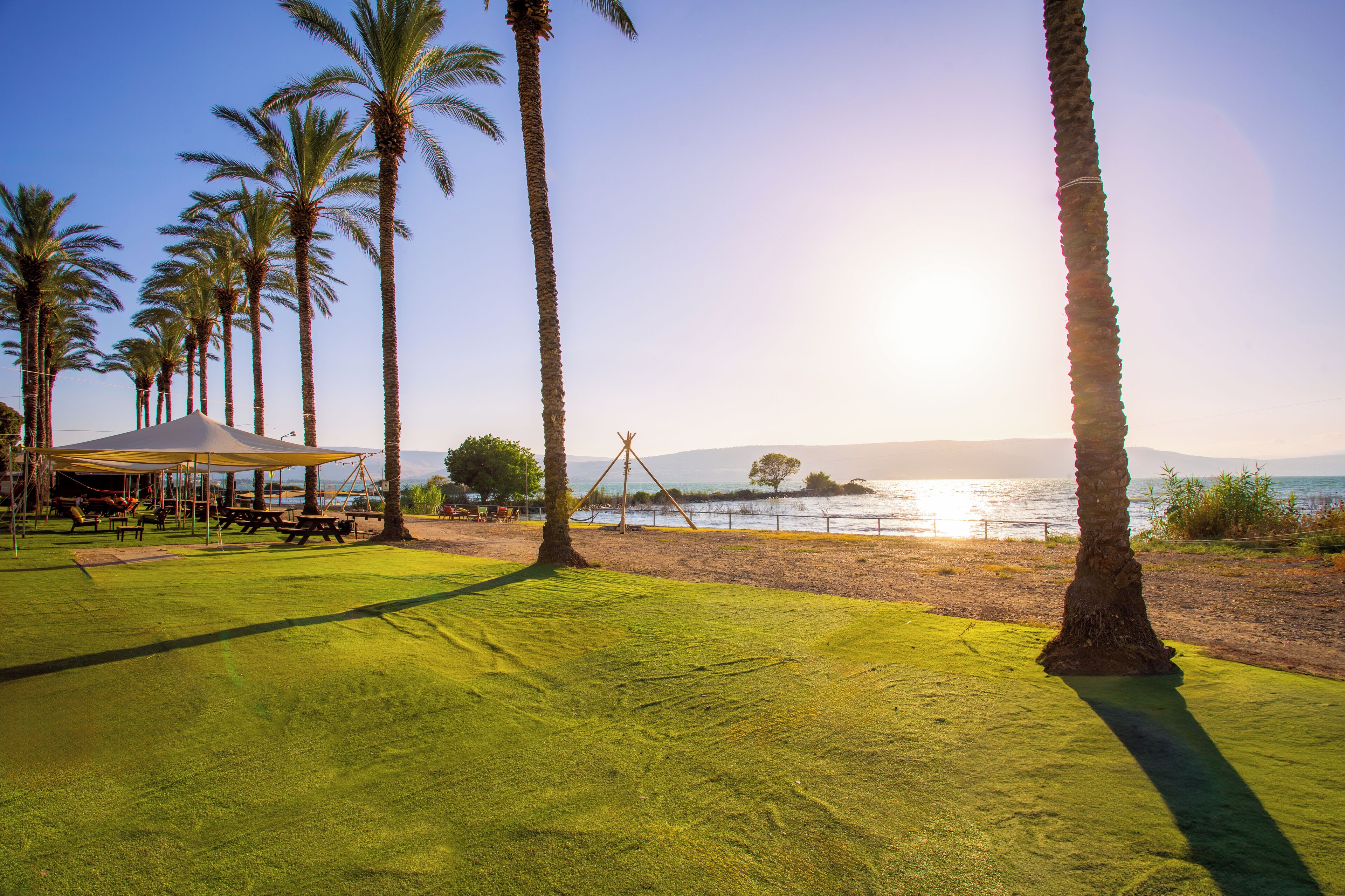 A beach with palm trees, a covered picnic area, and a view of the ocean.