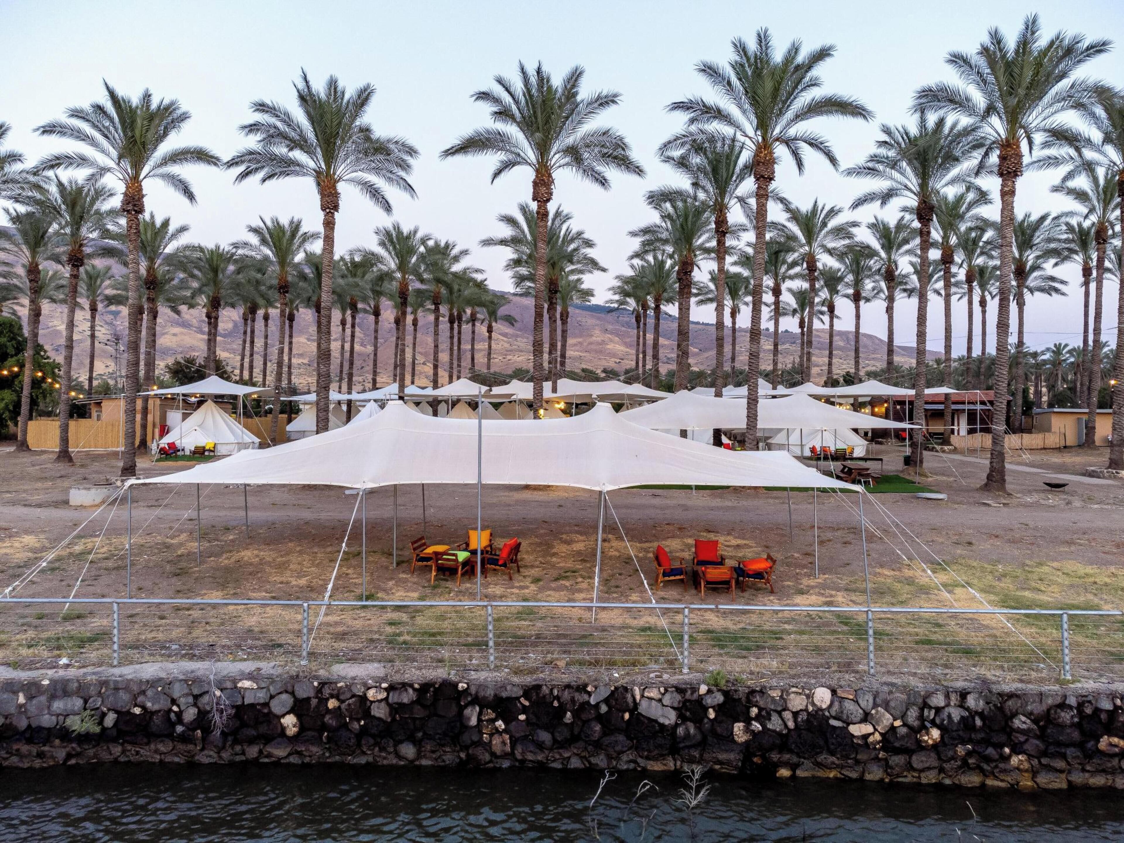 A campsite with tents and tables, surrounded by palm trees and a stone wall.