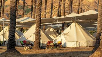 A row of large, beige tents with tables and chairs set up in a campsite surrounded by palm trees.