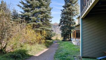 Condo, 2 quartos | Área da propriedade