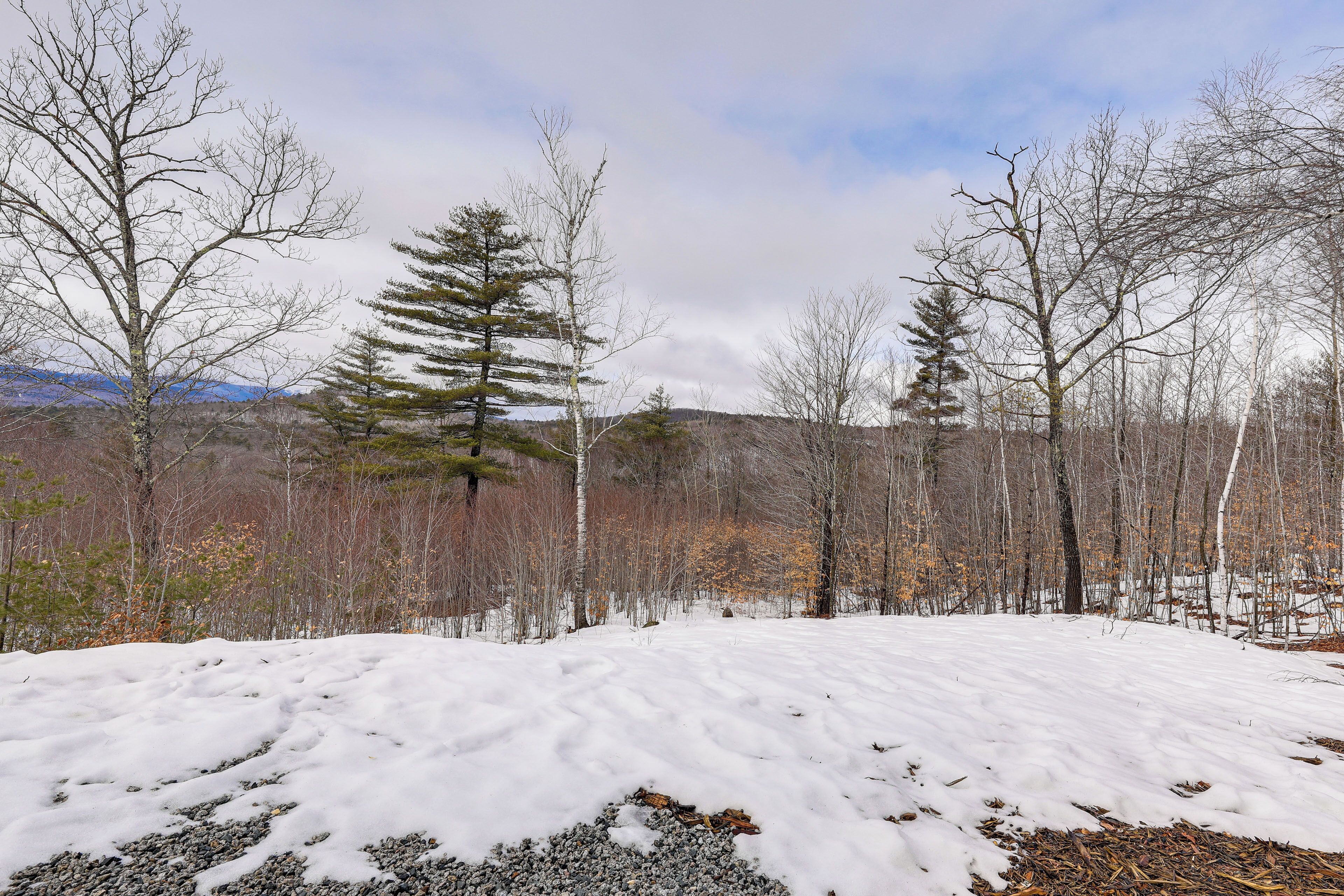 A snowy landscape with bare trees and a clear sky.