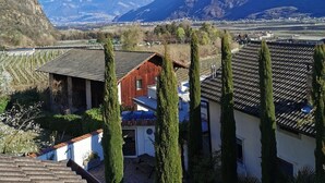 A residential area with a view of mountains, a vineyard, and a house with a tiled roof and tall cypress trees. - Appartment "hochwart" (Nals)