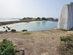 Regadera, secadora de cabello, papel de baño 