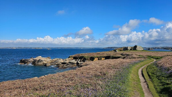 Un paisaje costero con cielo despejado, terreno rocoso y un camino que lleva al mar.